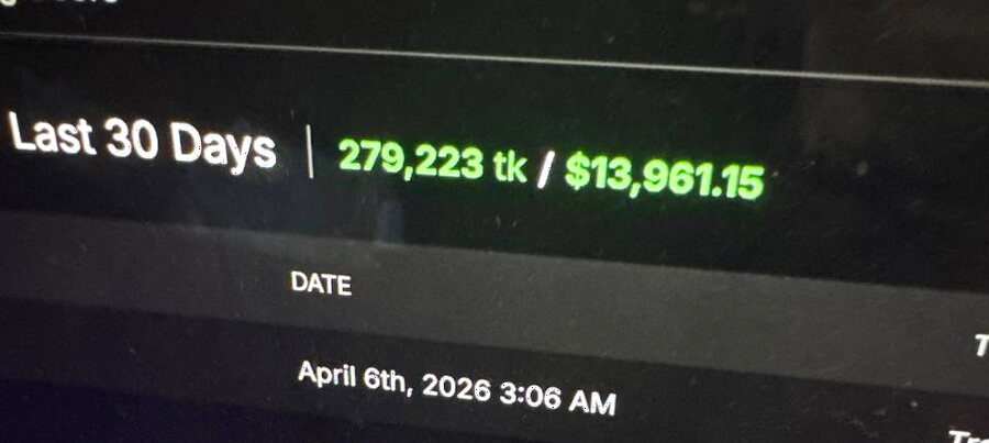 Webcam platform tokens history showing 13,961 dollars over 30 days